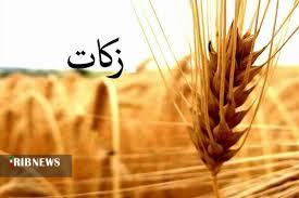 زکات فطریه هر نفر در مهاباد 75 هزار ریال است