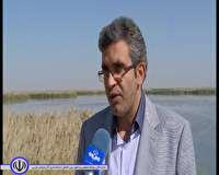 مدیر ملی طرح حفاظت از تالابهای کشور در مهاباد؛ تدوین برنامه جامع مدیریت سی و دو تالاب مهم کشور