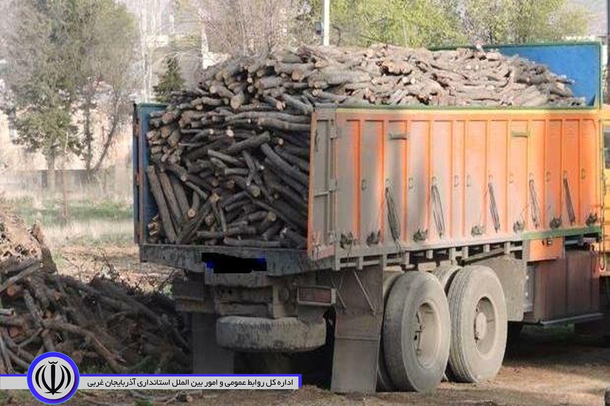 کشف حدود 70 تن چوب قاچاق امسال در مهاباد