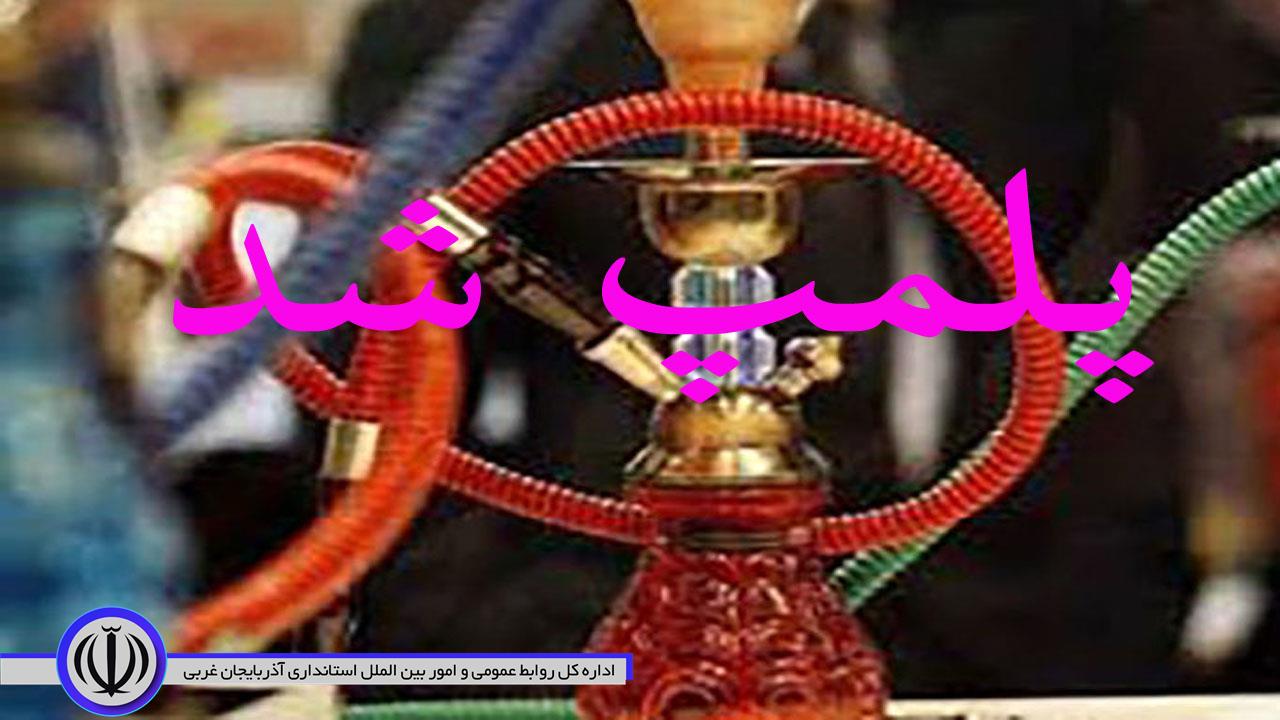 پلمپ 28 واحد قلیان سرا در مهاباد
