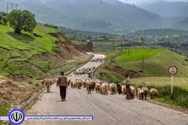 تأخیر کوچ بهاره عشایر مهاباد به سبب کرونا و سرما