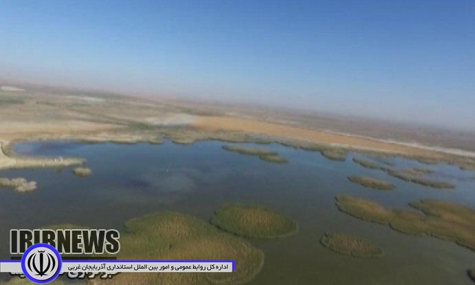 تالاب بین المللی کانی برازان مهاباد میزبان بیش از 30 هزار پرنده مختلف