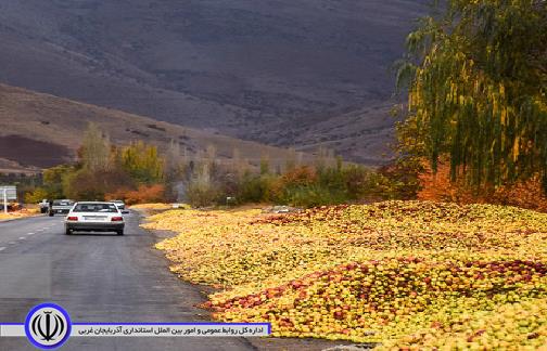 ممنوعیت انباشت میوه های فصلی در کنار جادههای مهاباد