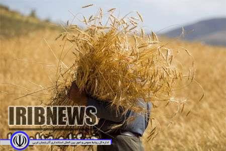 مهاباد، رتبه نخست جمع آوری زکات در استان