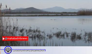 احیای تالابهای مهاباد به برکت نزول رحمت الهی