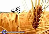 شهرستان مهاباد پیشرو در جمع آوری زکات در آذربایجانغربی