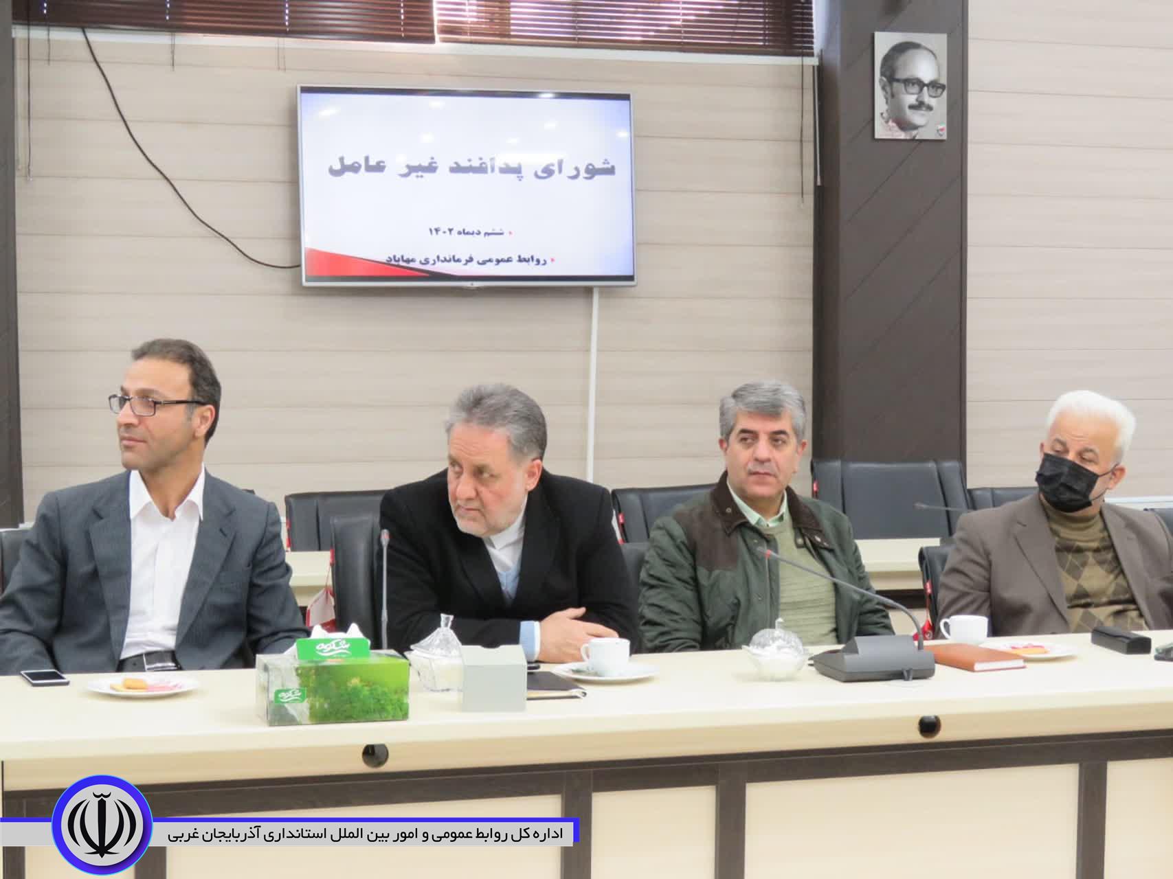 فرماندار مهاباد: شهرداری نسبت به جمع آوری سگ های بلاصاحب اقدام کند
