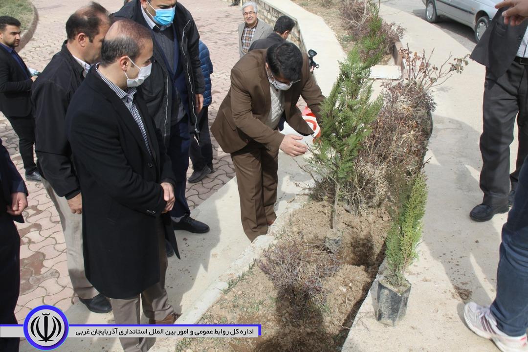 پنج هزار اصله نهال به مناسبت گرامیداشت هفته منابع طبیعی به صورت رایگان در سطح این شهرستان توزیع میشود.
