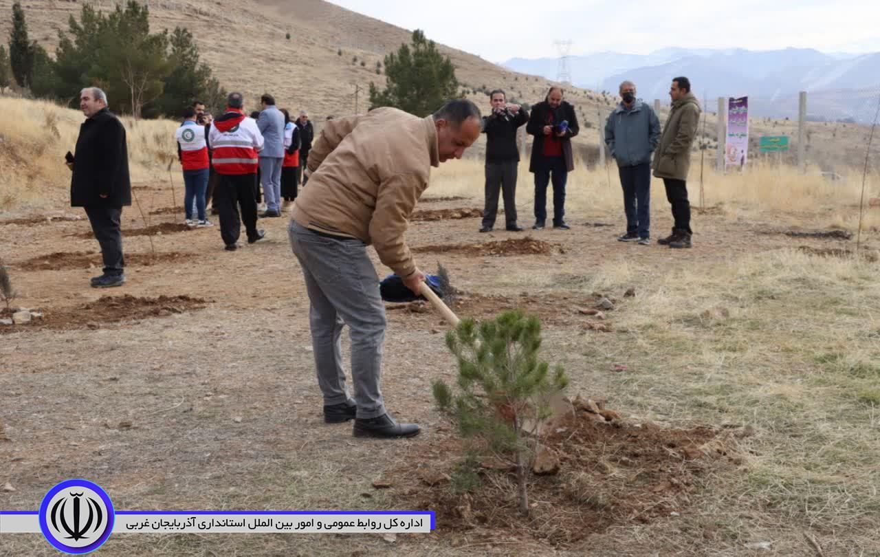 کاشت درخت به یاد مادران همزمان با سراسر کشور در مهاباد