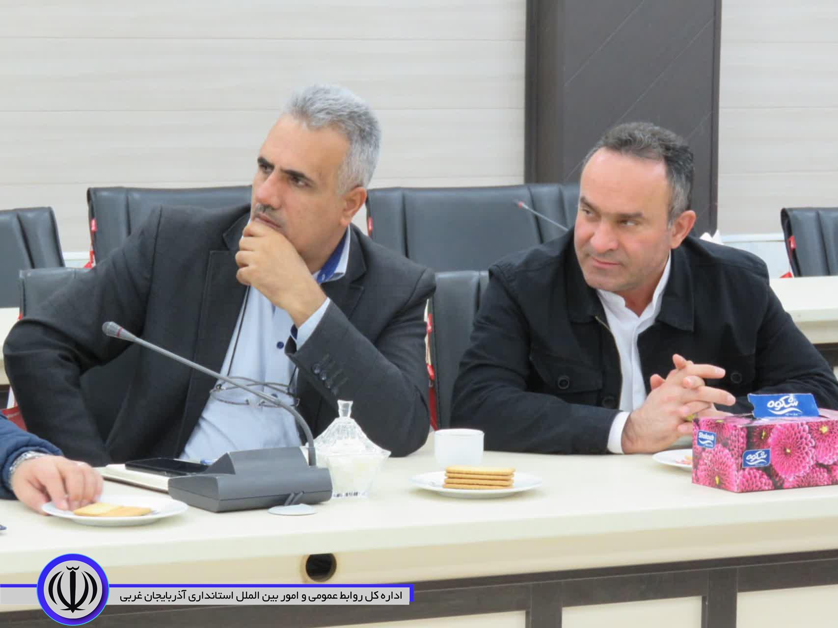 فرماندار مهاباد: شهرداری نسبت به جمع آوری سگ های بلاصاحب اقدام کند