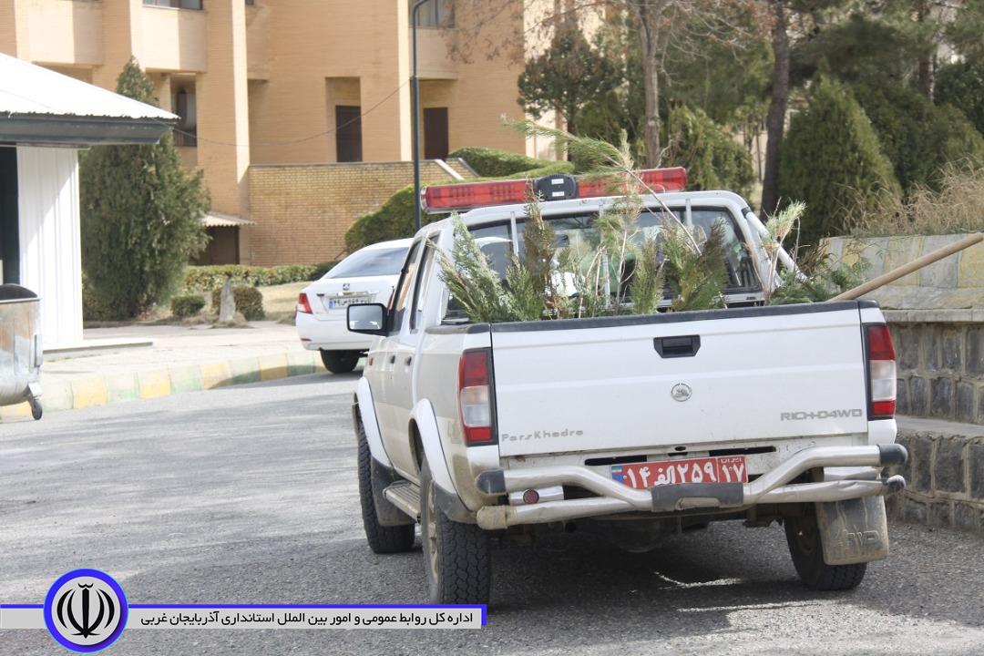 پنج هزار اصله نهال به مناسبت گرامیداشت هفته منابع طبیعی به صورت رایگان در سطح این شهرستان توزیع میشود.
