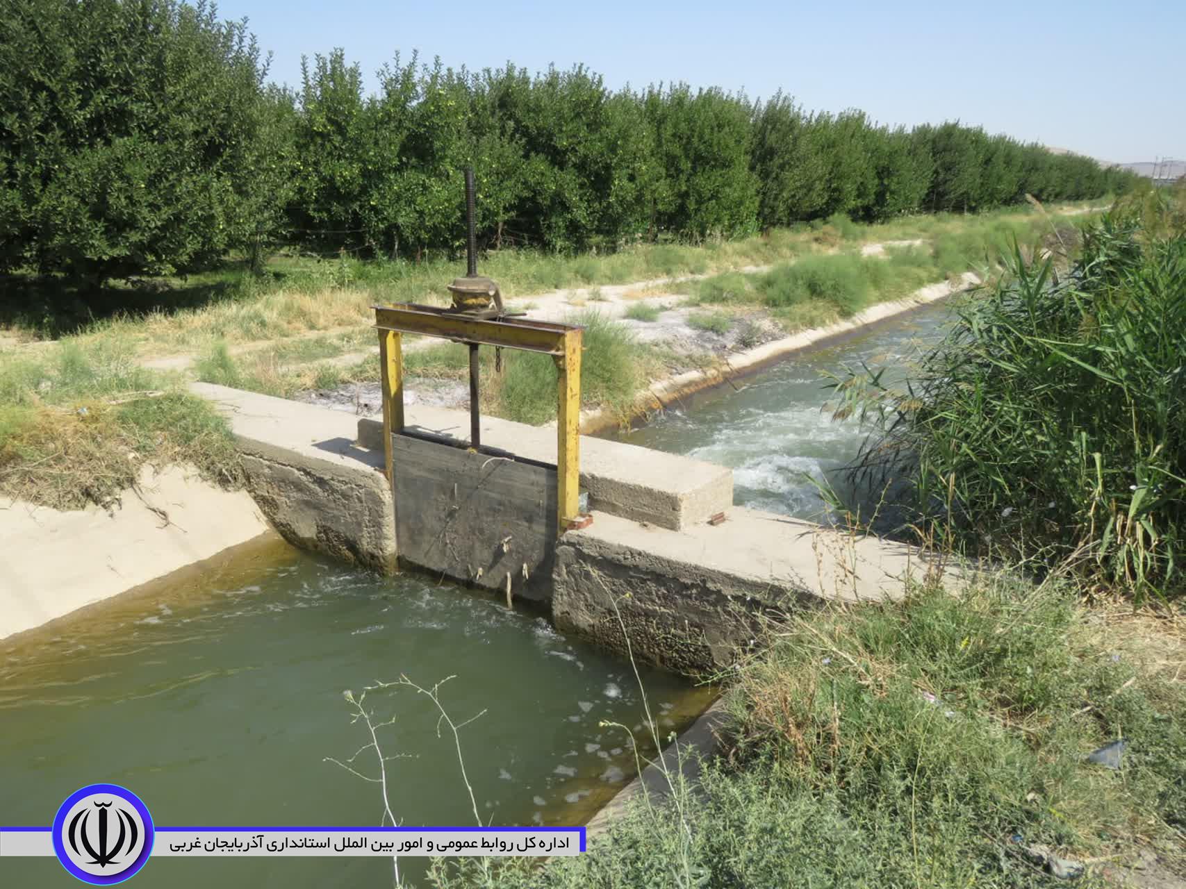 فرماندار: رهاسازی آب بخش کشاورزی مهاباد اثربخش بوده است