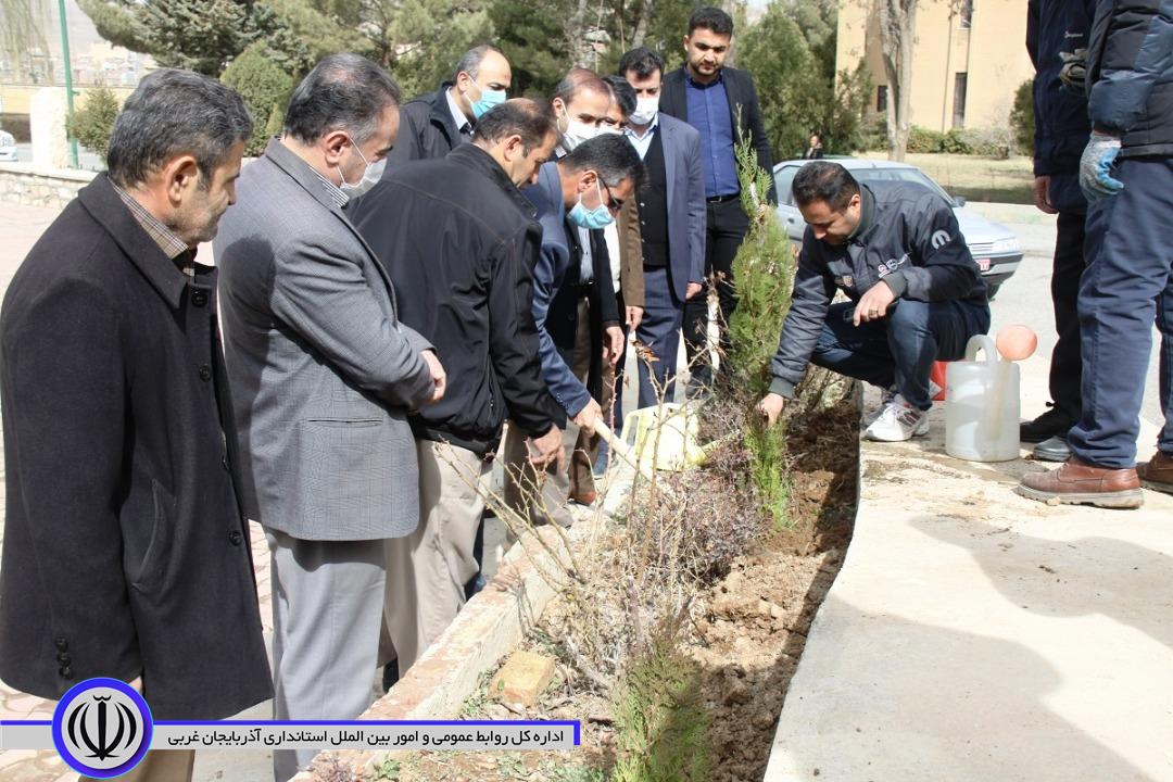 پنج هزار اصله نهال به مناسبت گرامیداشت هفته منابع طبیعی به صورت رایگان در سطح این شهرستان توزیع میشود.