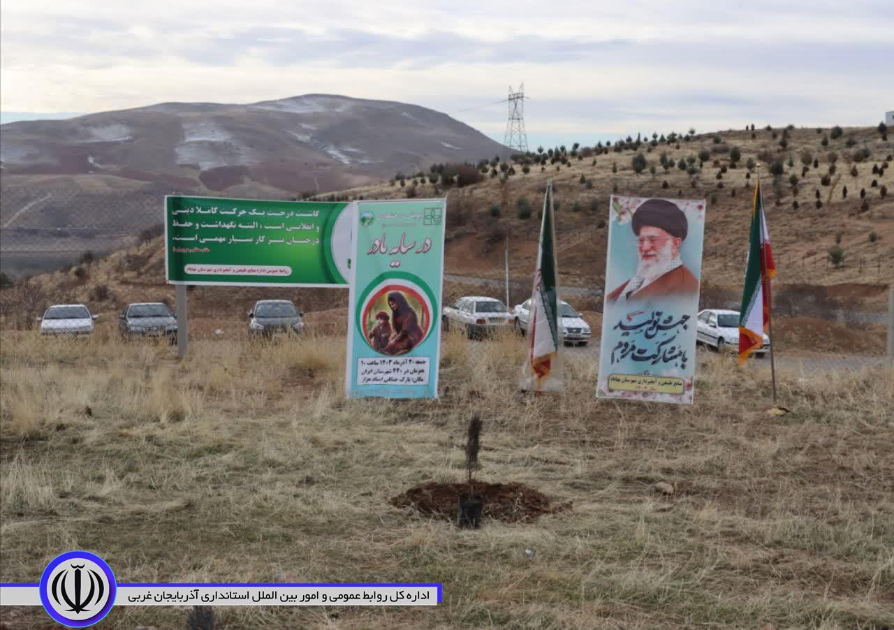 کاشت درخت به یاد مادران همزمان با سراسر کشور در مهاباد