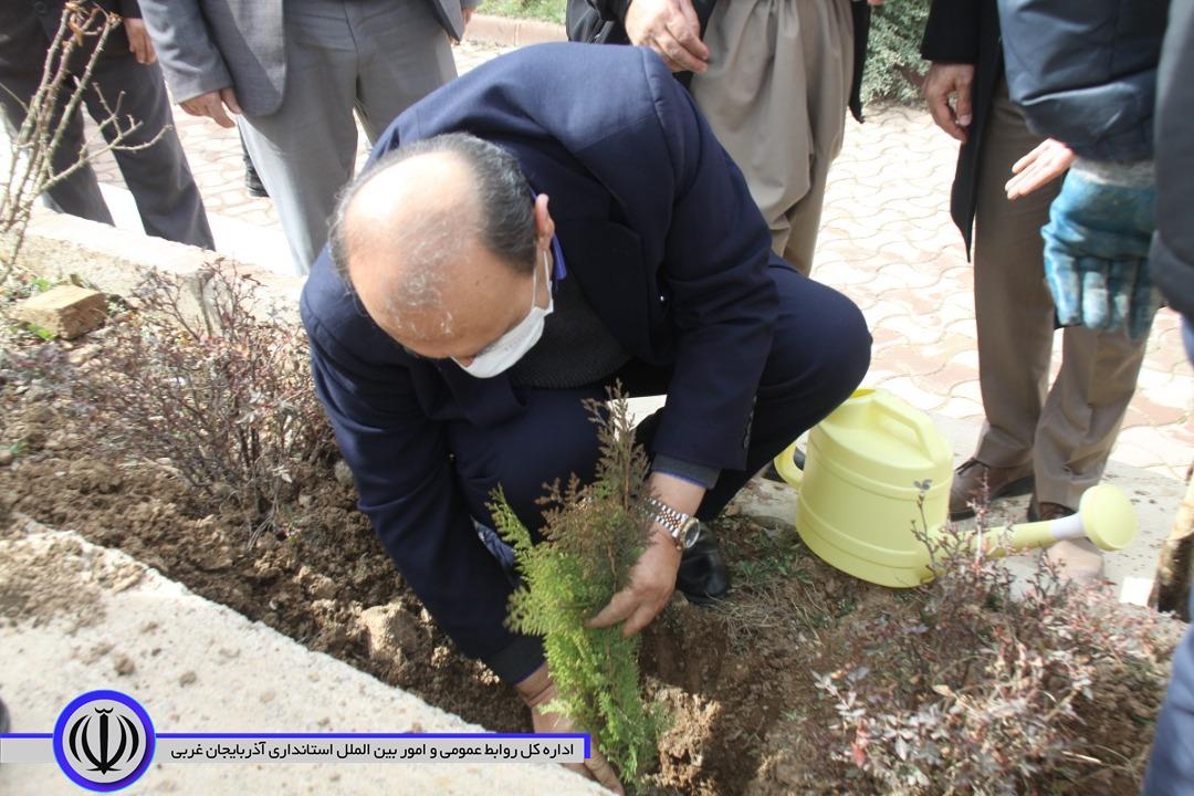 پنج هزار اصله نهال به مناسبت گرامیداشت هفته منابع طبیعی به صورت رایگان در سطح این شهرستان توزیع میشود.