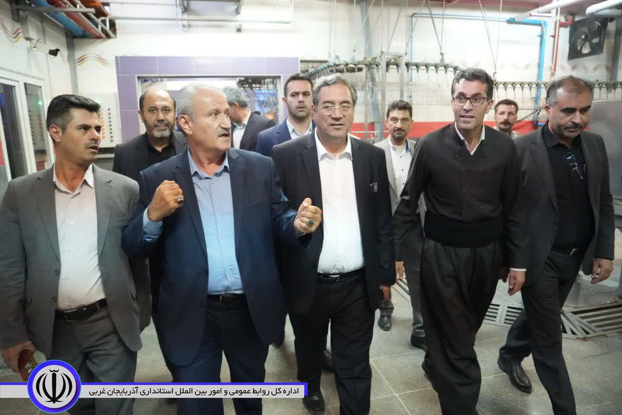 بازدید استاندار آذربایجان‌غربی از مجتمع زنجیره‌ای هما مرغ مهاباد