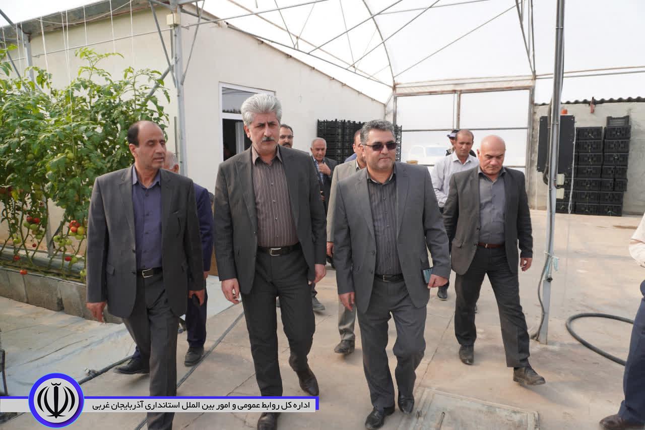 بازدید مدیر شرکت شهرکهای کشاورزی وزارت جهاد کشاورزی از مجتمع گلخانه ای مهاباد
