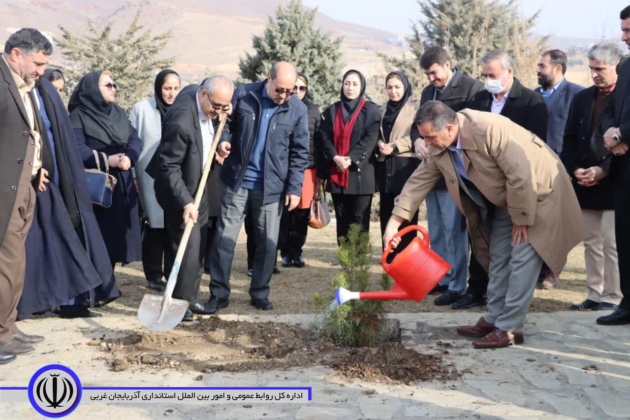 غرس پنج هزار اصله نهال هفته منابع طبیعی در شهرستان مهاباد