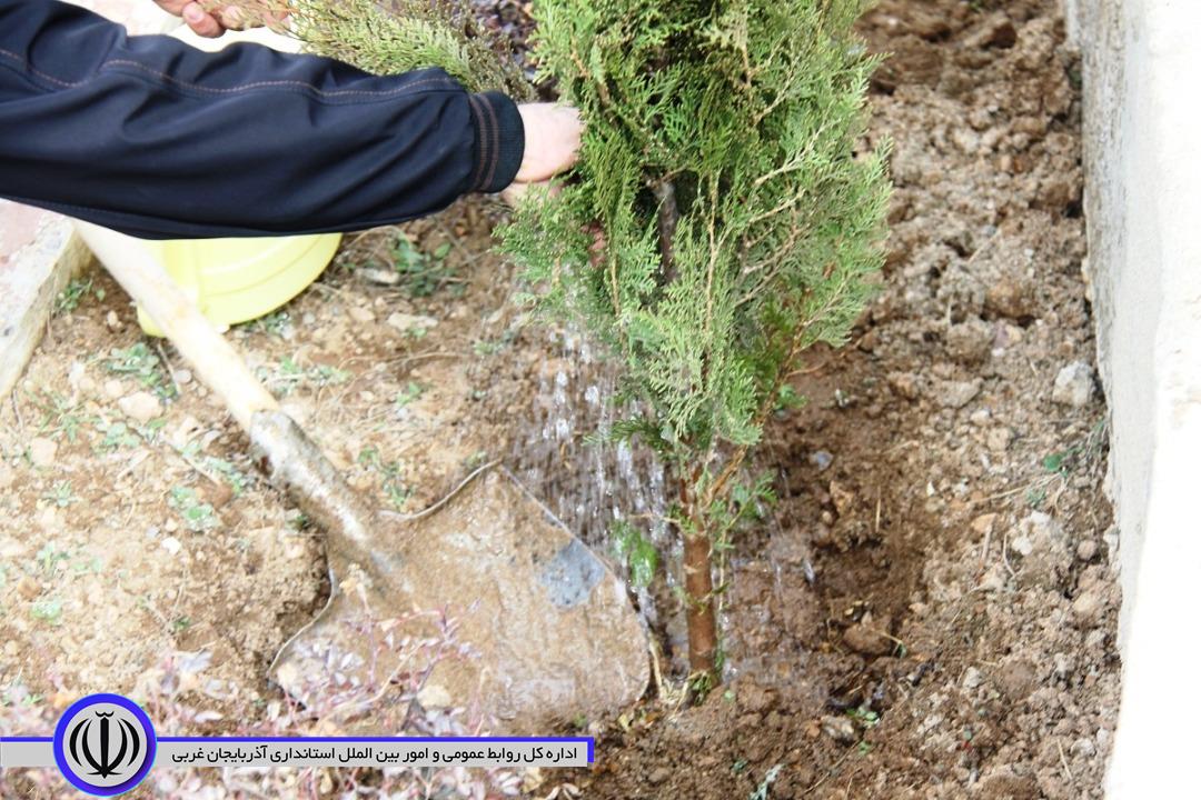 پنج هزار اصله نهال به مناسبت گرامیداشت هفته منابع طبیعی به صورت رایگان در سطح این شهرستان توزیع میشود.