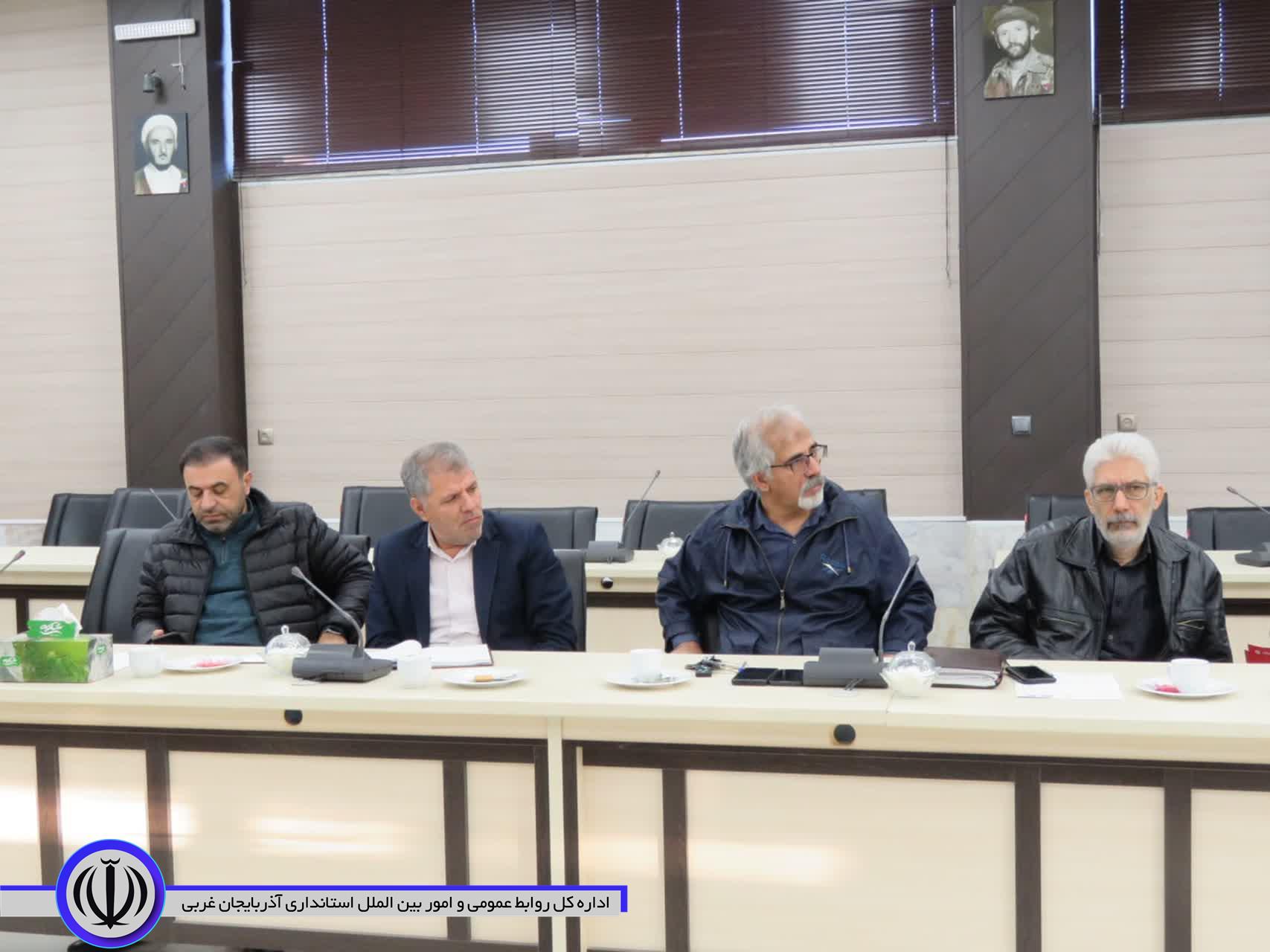 فرماندار مهاباد: شهرداری نسبت به جمع آوری سگ های بلاصاحب اقدام کند