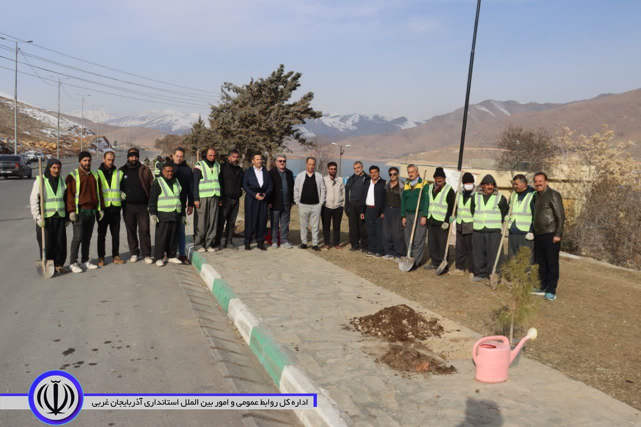 غرس پنج هزار اصله نهال هفته منابع طبیعی در شهرستان مهاباد
