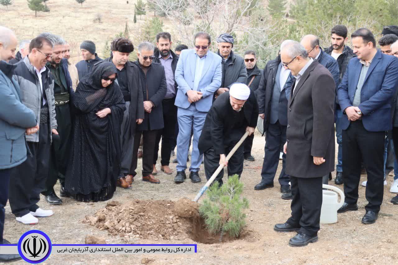 کاشت درخت به یاد مادران همزمان با سراسر کشور در مهاباد