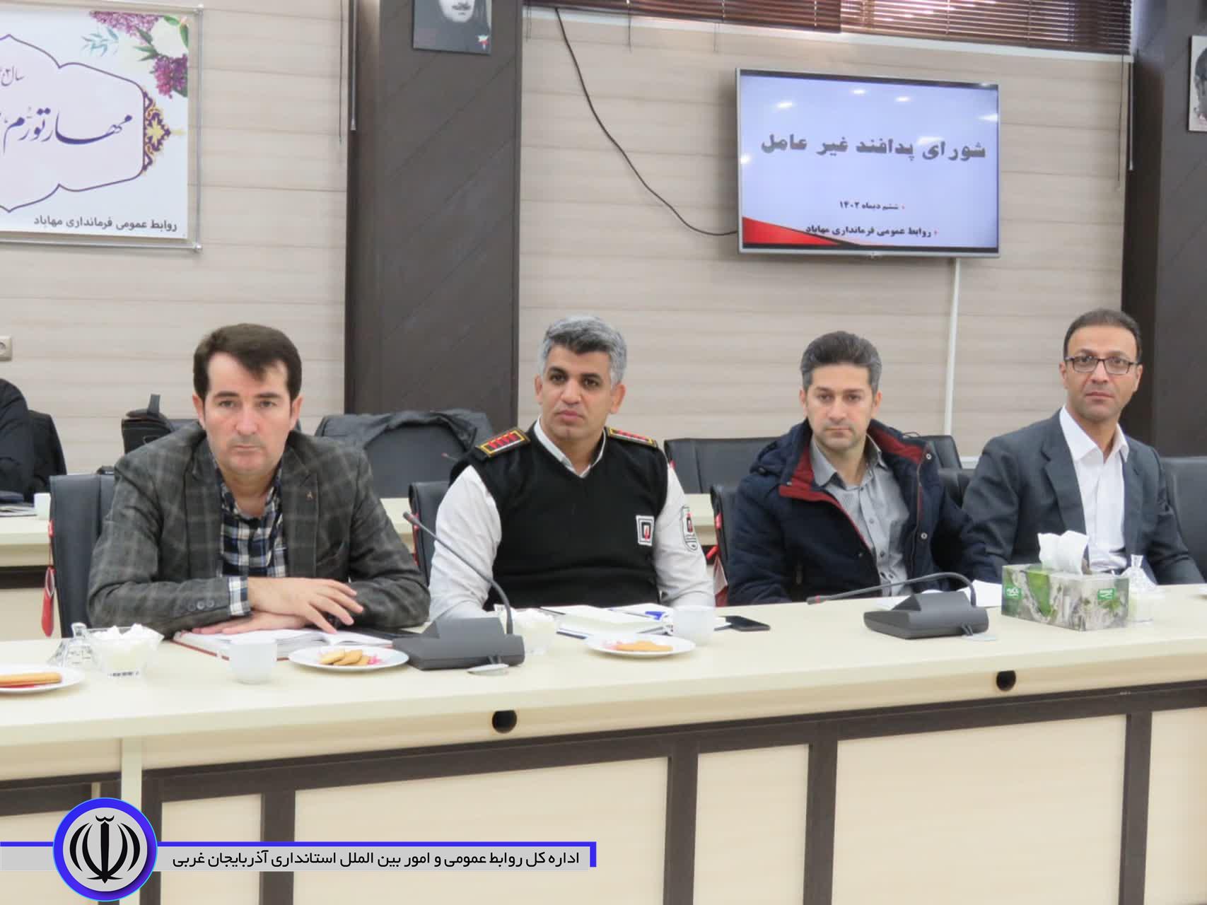 فرماندار مهاباد: شهرداری نسبت به جمع آوری سگ های بلاصاحب اقدام کند