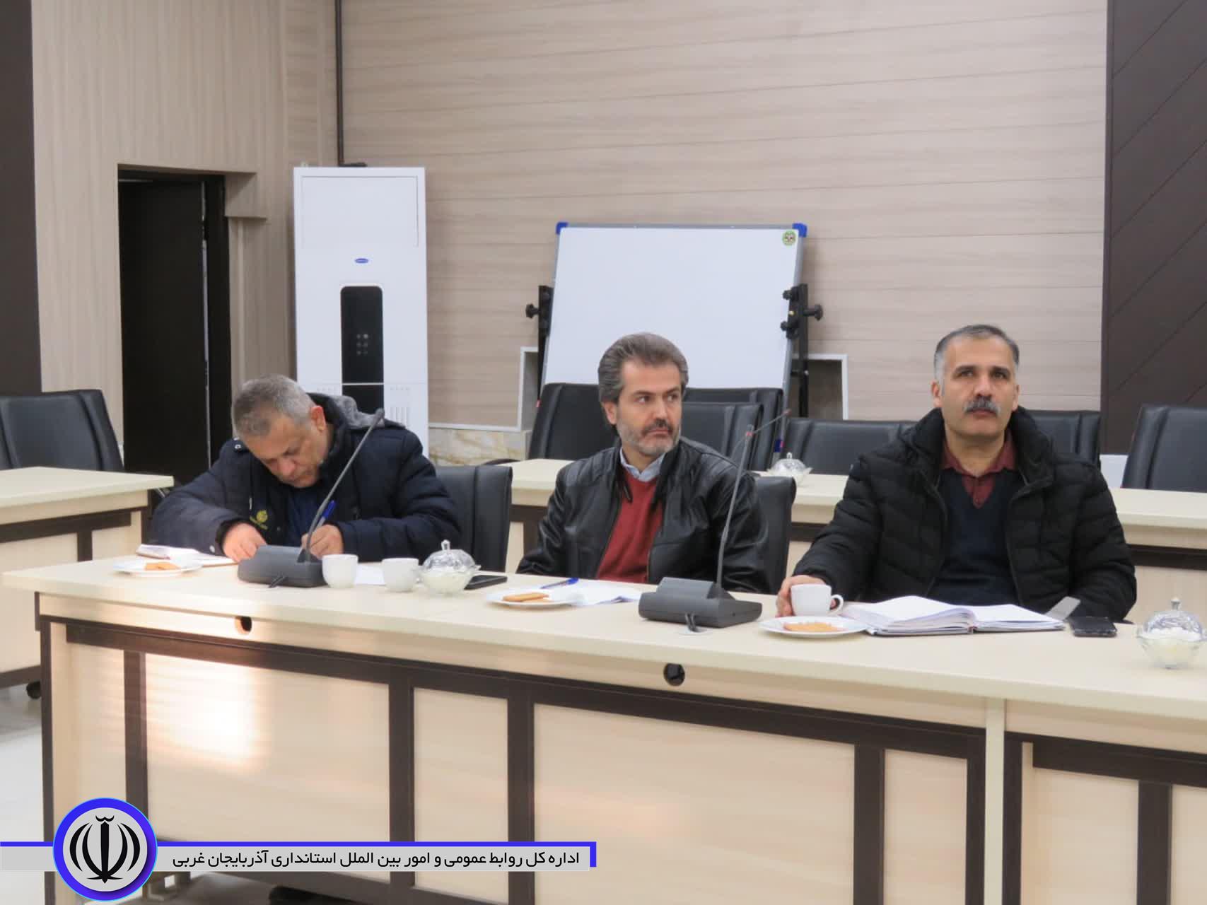 فرماندار مهاباد: شهرداری نسبت به جمع آوری سگ های بلاصاحب اقدام کند
