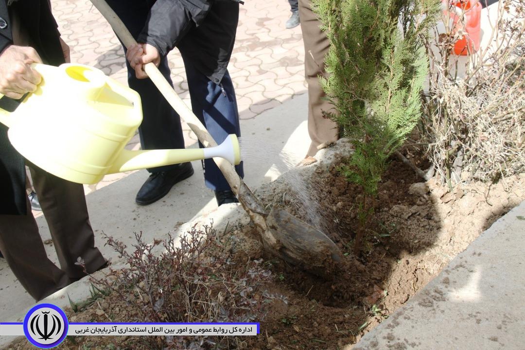 پنج هزار اصله نهال به مناسبت گرامیداشت هفته منابع طبیعی به صورت رایگان در سطح این شهرستان توزیع میشود.
