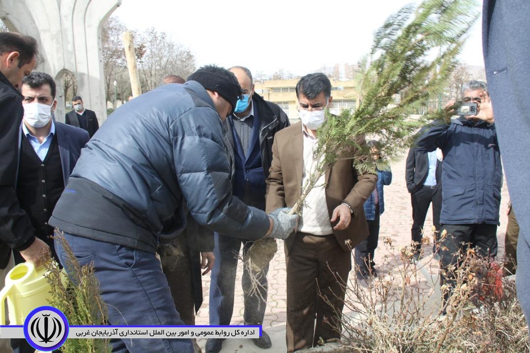 پنج هزار اصله نهال به مناسبت گرامیداشت هفته منابع طبیعی به صورت رایگان در سطح این شهرستان توزیع میشود.