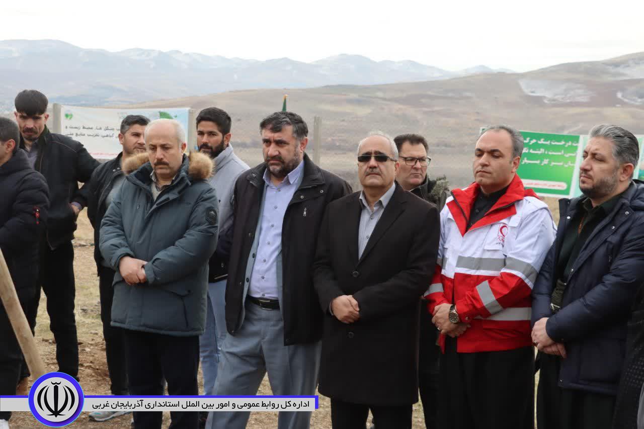 کاشت درخت به یاد مادران همزمان با سراسر کشور در مهاباد
