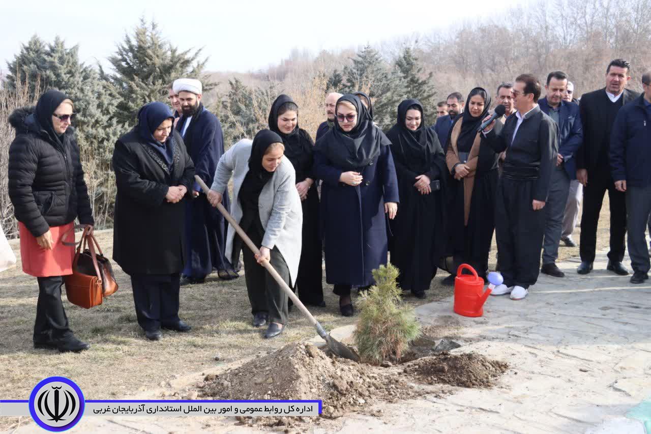 غرس پنج هزار اصله نهال هفته منابع طبیعی در شهرستان مهاباد