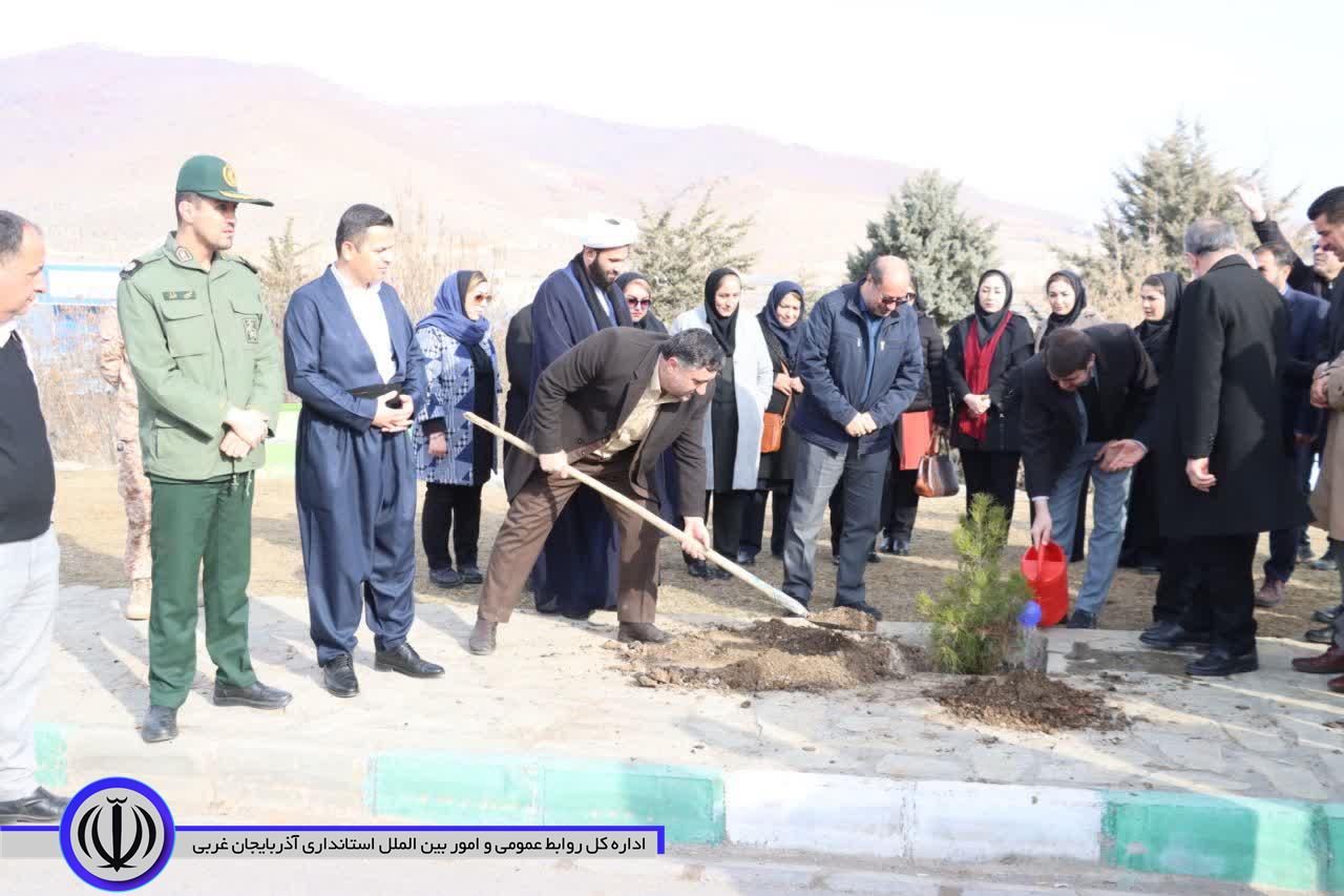 غرس پنج هزار اصله نهال هفته منابع طبیعی در شهرستان مهاباد