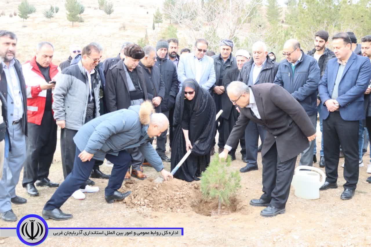 کاشت درخت به یاد مادران همزمان با سراسر کشور در مهاباد
