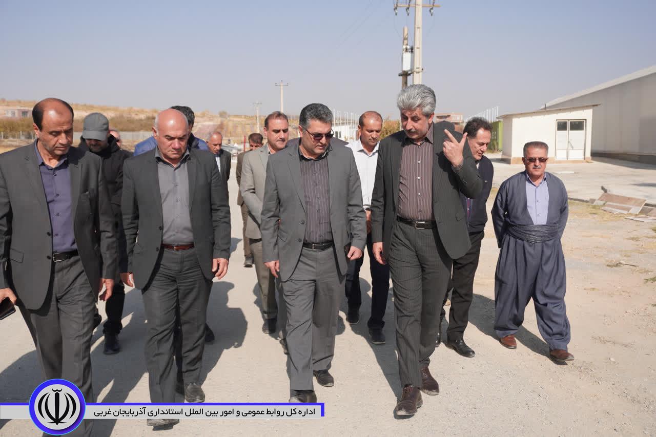 بازدید مدیر شرکت شهرکهای کشاورزی وزارت جهاد کشاورزی از مجتمع گلخانه ای مهاباد