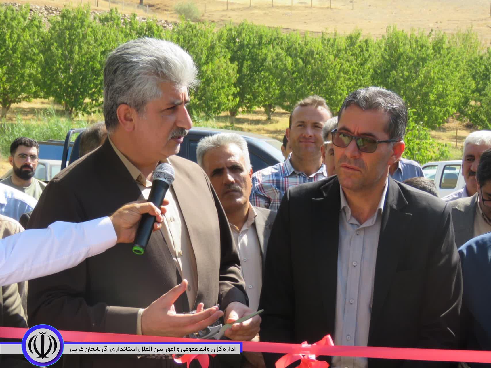 پروژه پرورش ماهی قزل آلا در مهاباد افتتاح شد