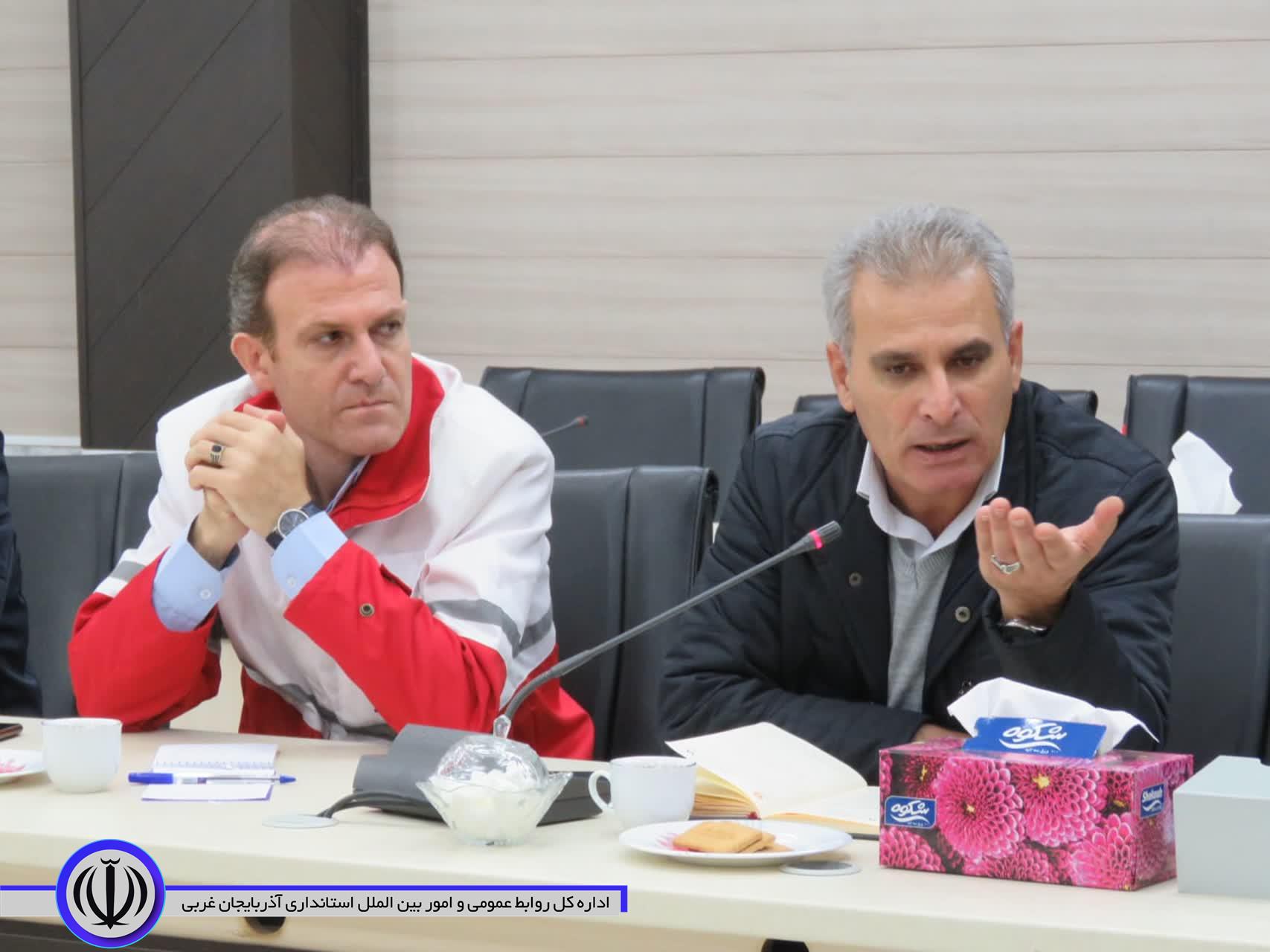 فرماندار مهاباد: شهرداری نسبت به جمع آوری سگ های بلاصاحب اقدام کند