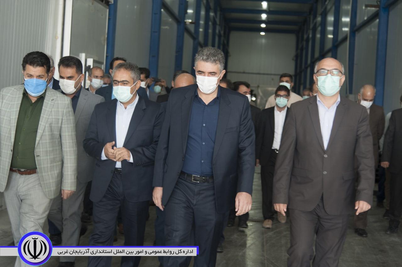 بازدید مدیرعامل سازمان حمایت از تولید کنندگان و مصرف کنندگان کشور از سردخانه های شهرستان