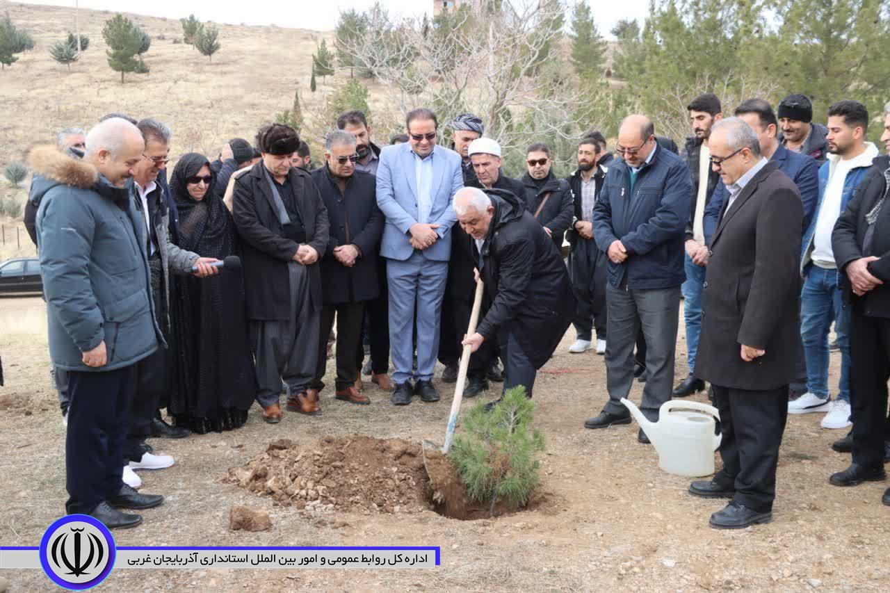 کاشت درخت به یاد مادران همزمان با سراسر کشور در مهاباد