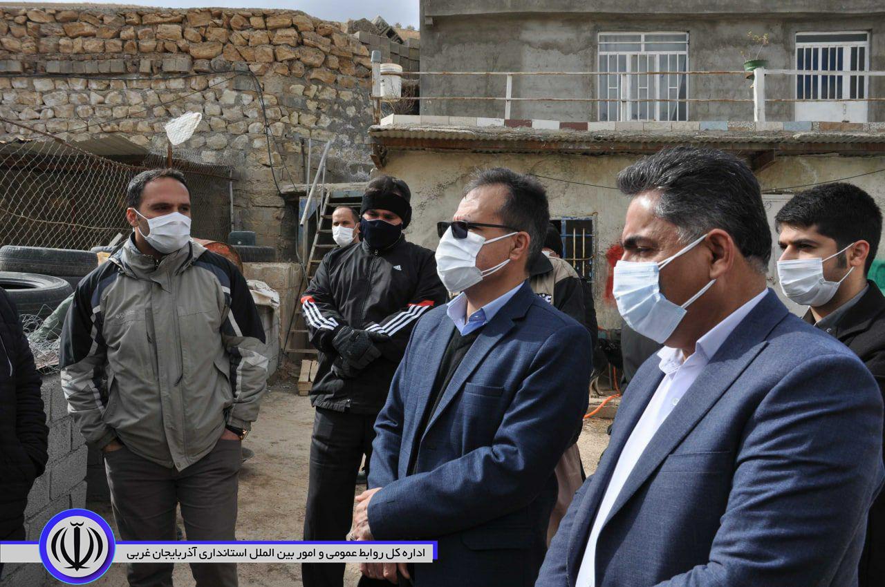 بازدید از سایت نگهداری سگهای بلاصاحب شهرستان