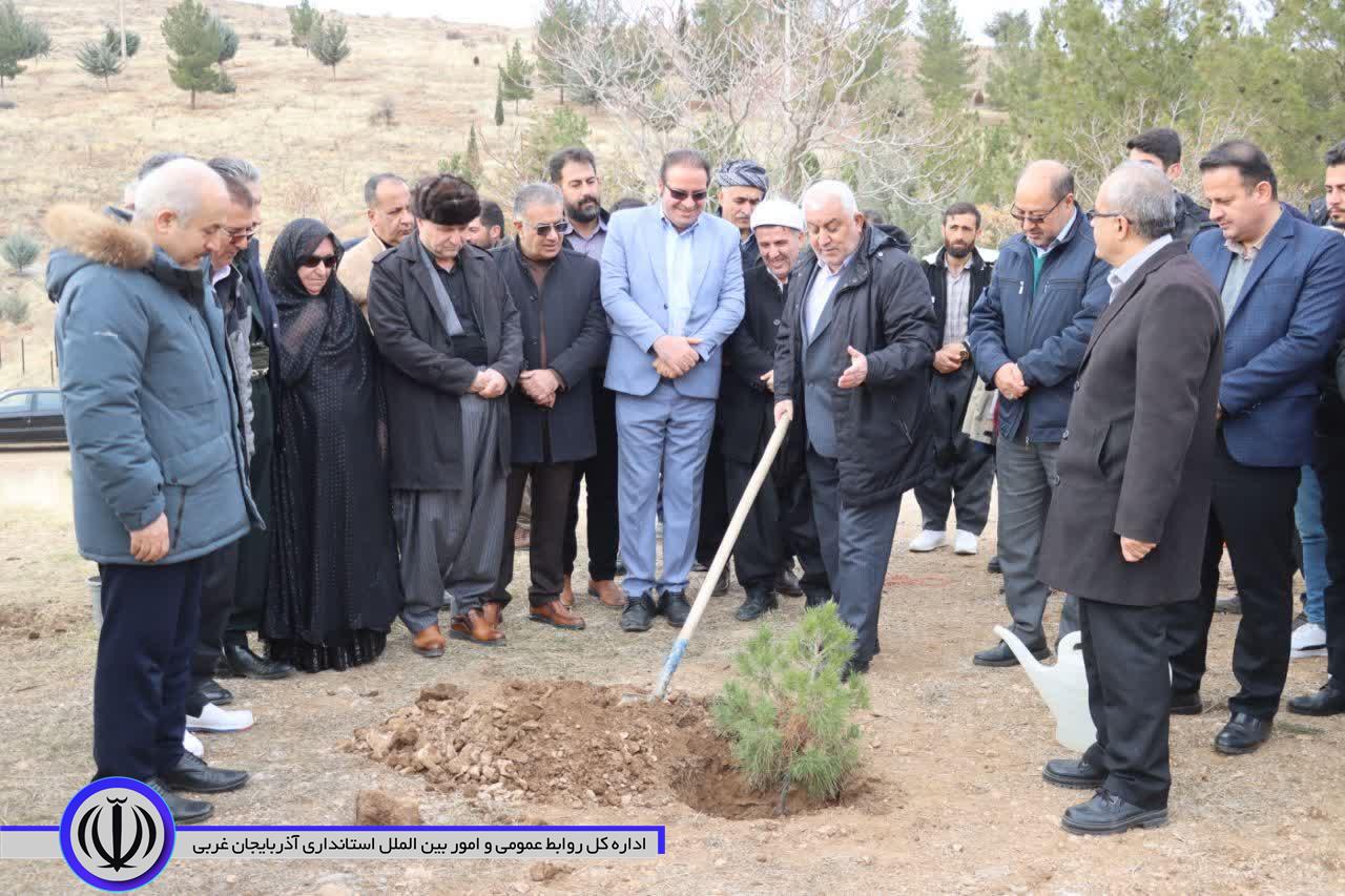 کاشت درخت به یاد مادران همزمان با سراسر کشور در مهاباد