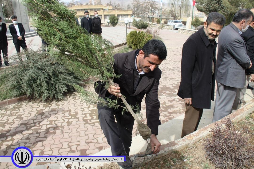 پنج هزار اصله نهال به مناسبت گرامیداشت هفته منابع طبیعی به صورت رایگان در سطح این شهرستان توزیع میشود.
